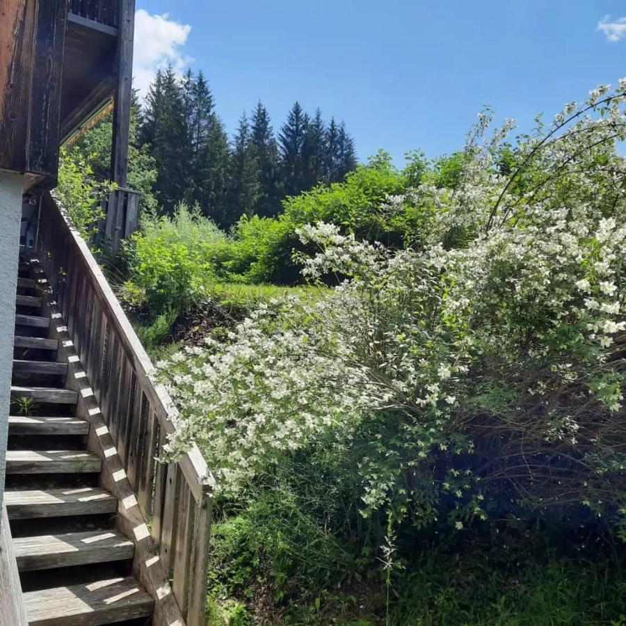 Haus Branol Apartment Хермагор Екстериор снимка